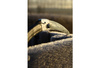 Piła Ultra Accel Curve 240-7.5